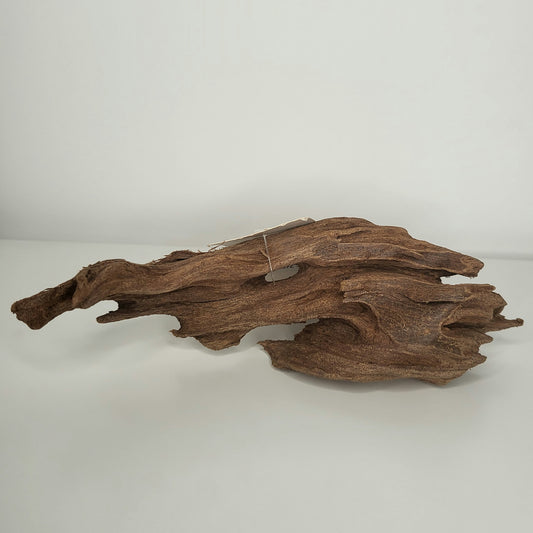 Yati Holz / Jungle Wood