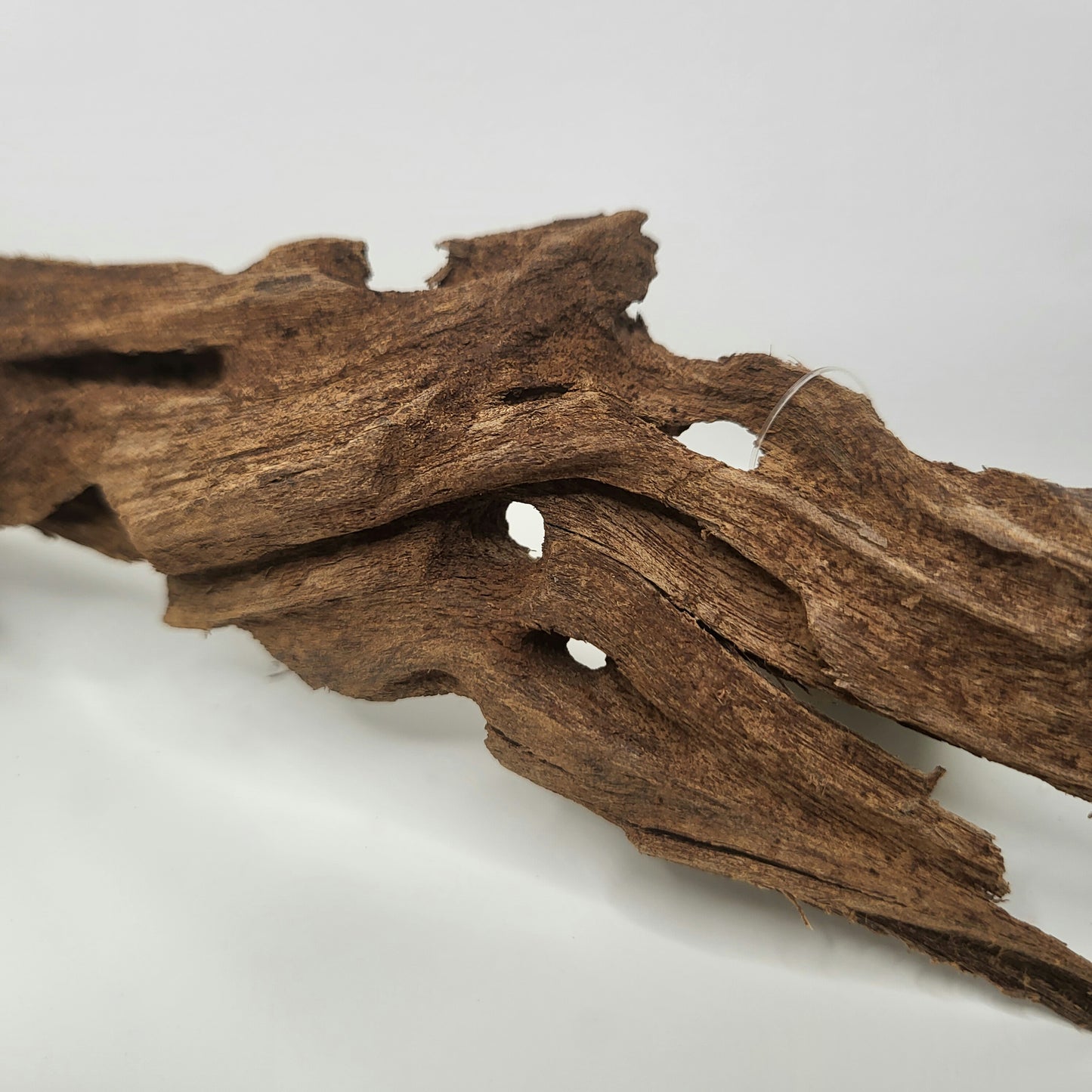 Yati Holz / Jungle Wood