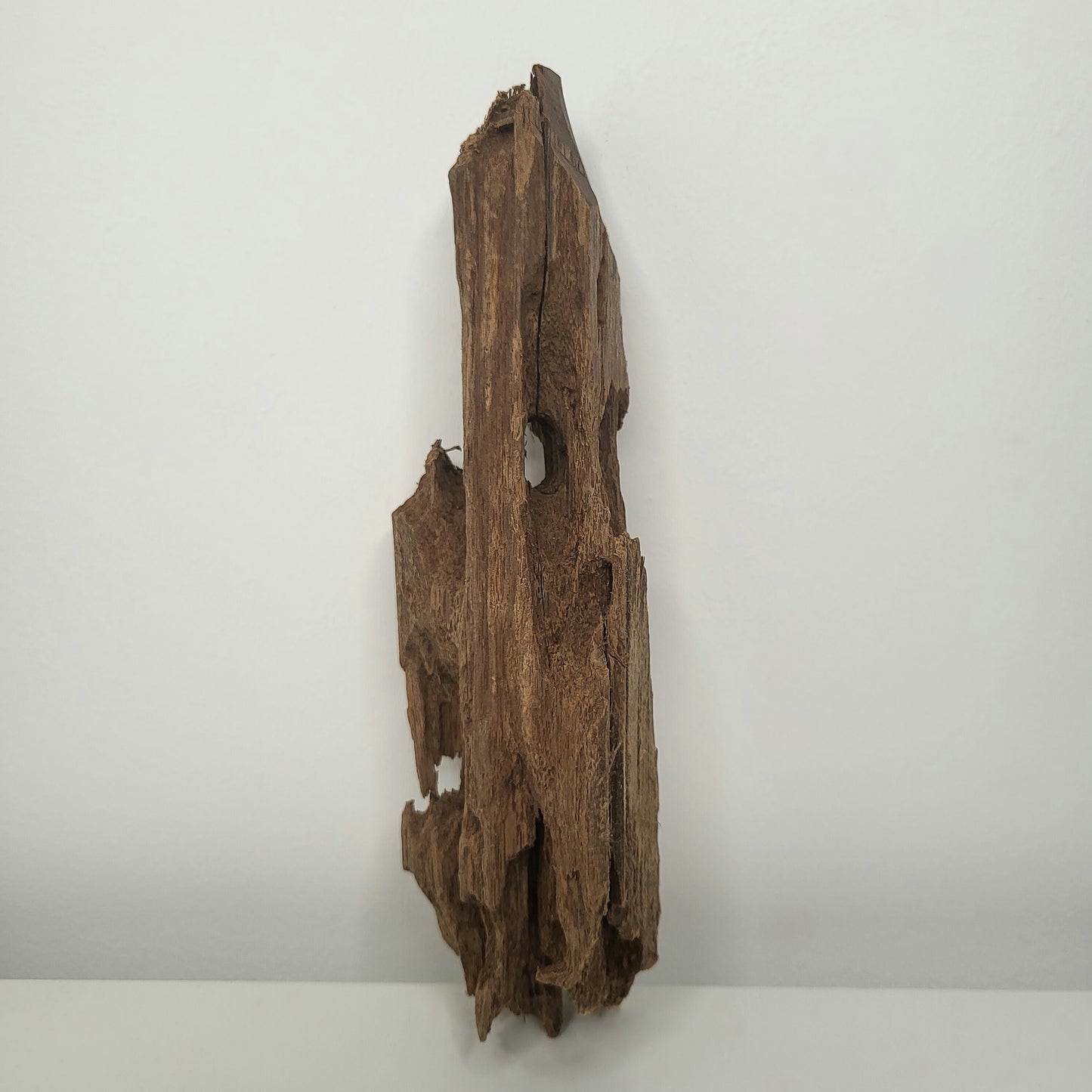 Yati Holz / Jungle Wood