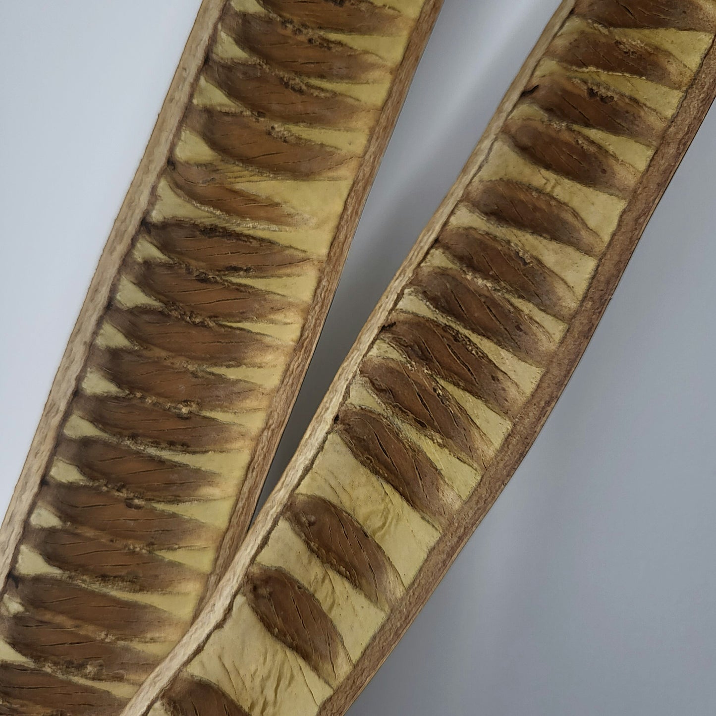 Step Fruit Scalettaschote