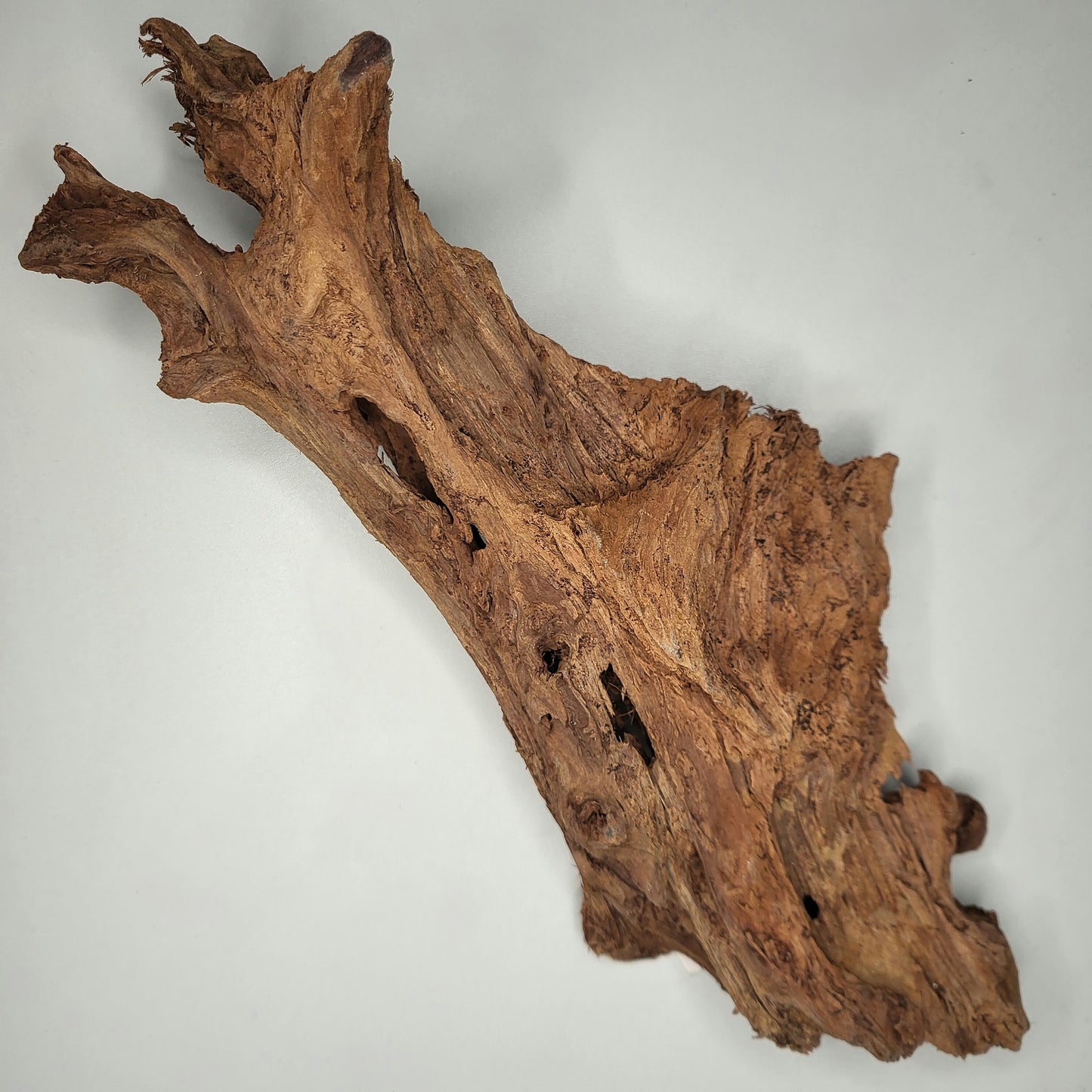 Yati Holz / Jungle Wood