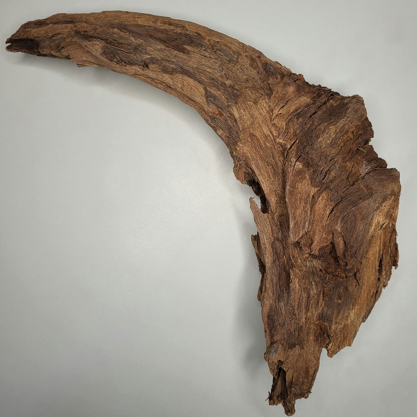 Yati Holz / Jungle Wood