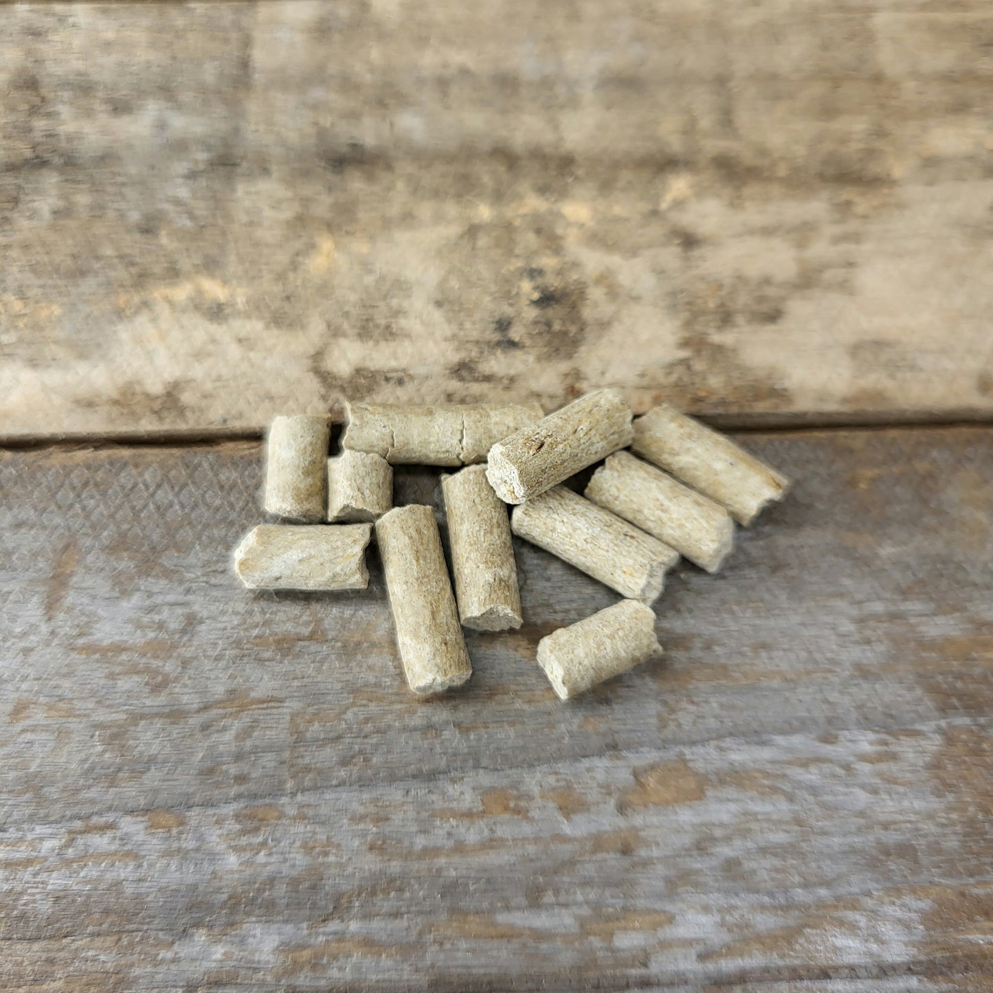 Schnecken VITAL Mineral