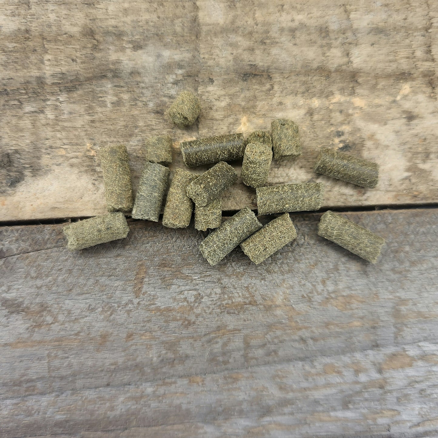 Schnecken VITAL Vitamin