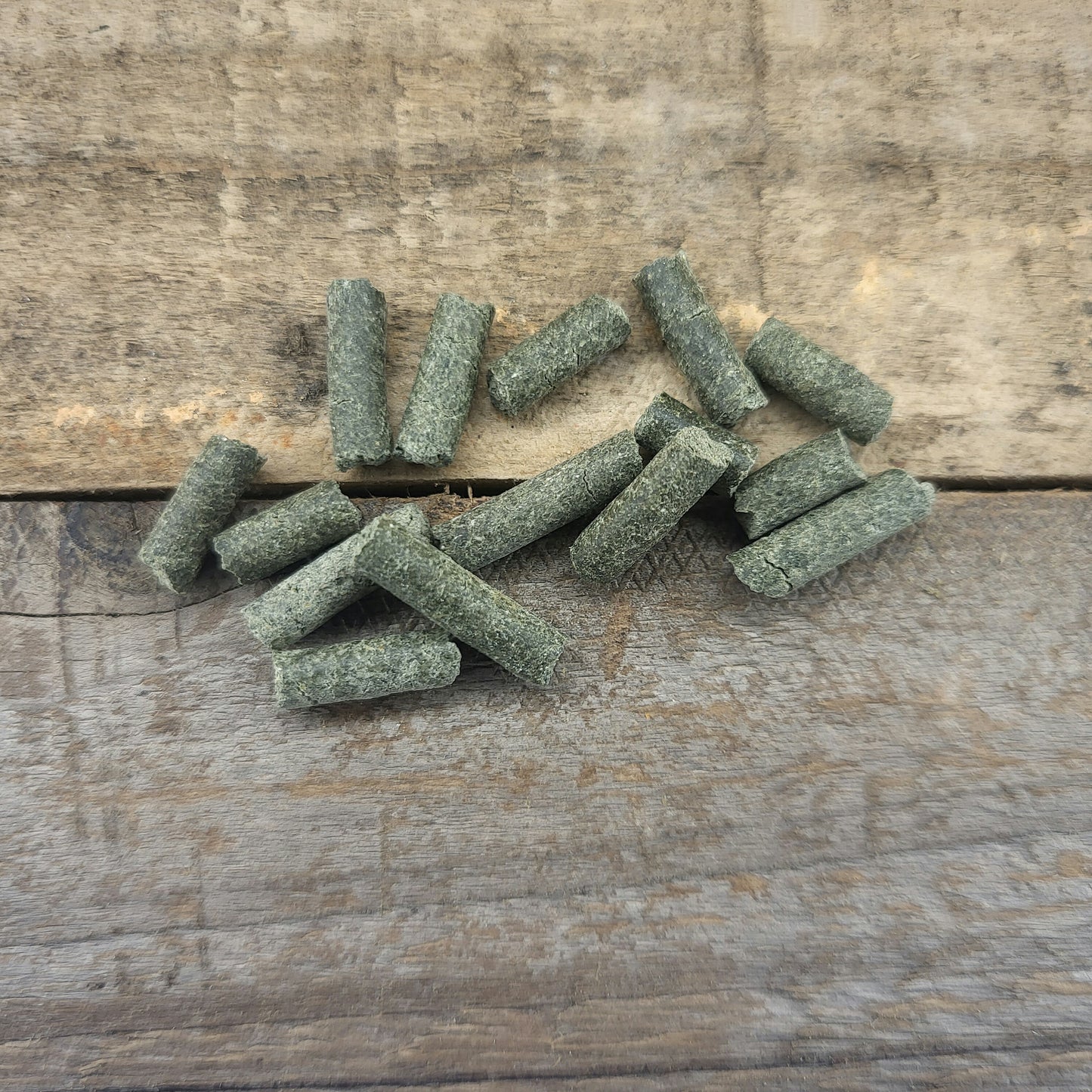 Schnecken VITAL Protein