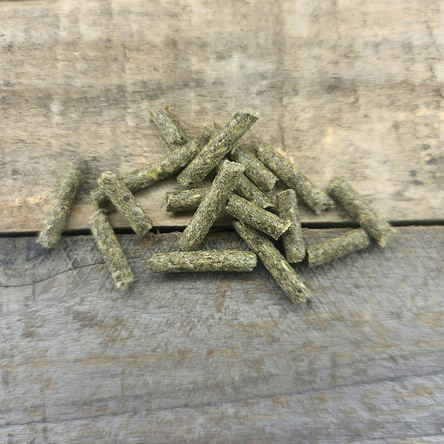 Schnecken VITAL Kräuter