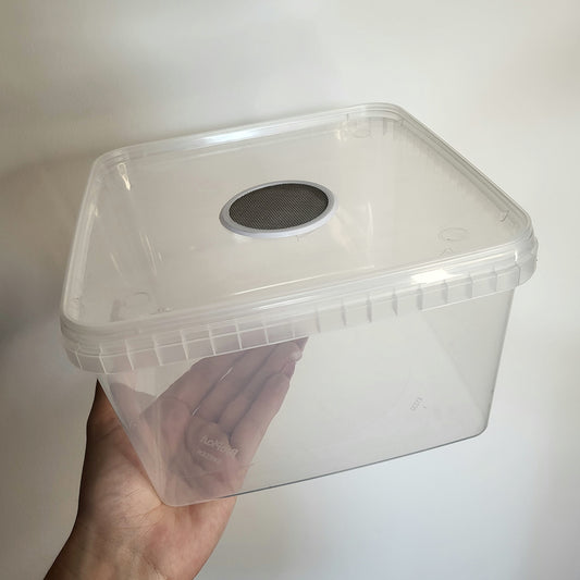 Aufzuchtbox Flach mit Belüftung im Deckel