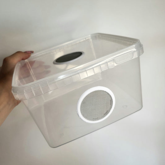 Aufzuchtbox Flach mit Doppelgaze (Deckel + Seite)