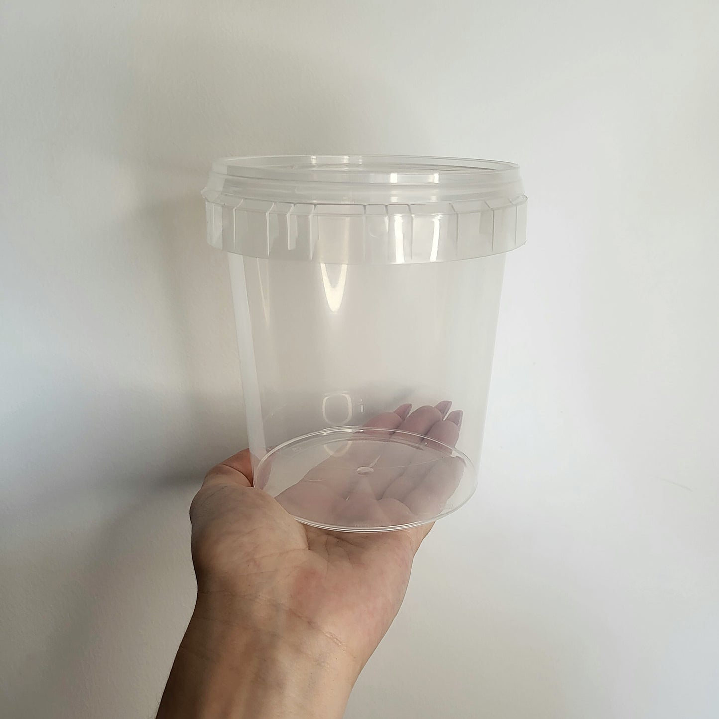 Aufzuchtdose Rund mit Gazedeckel