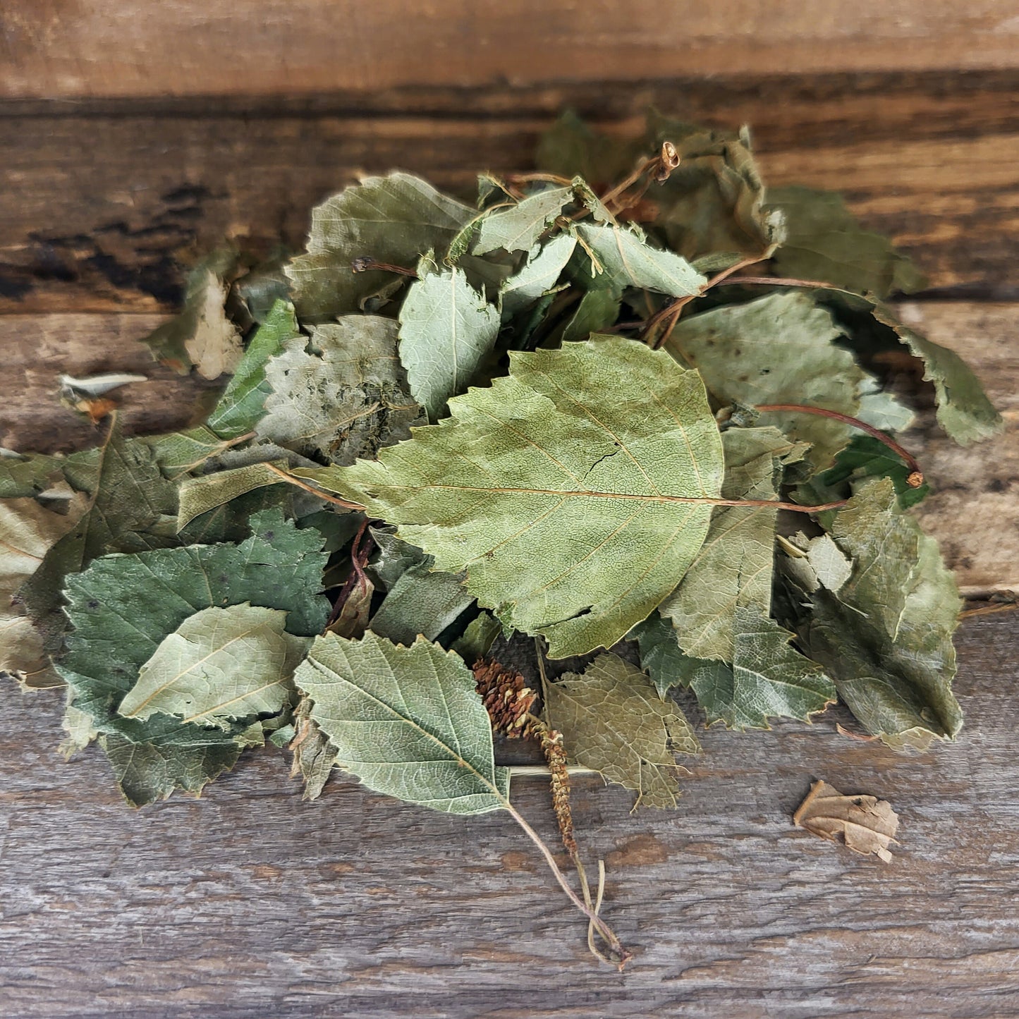 Birkenblätter Grün