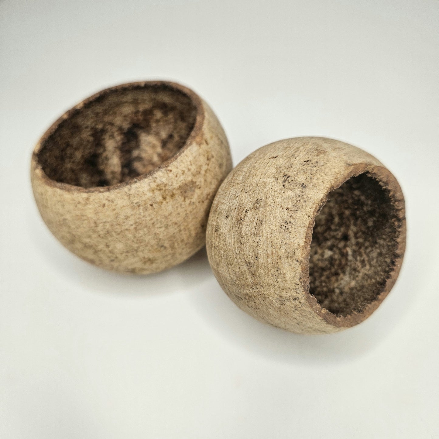 Wood Apple/Holzapfel