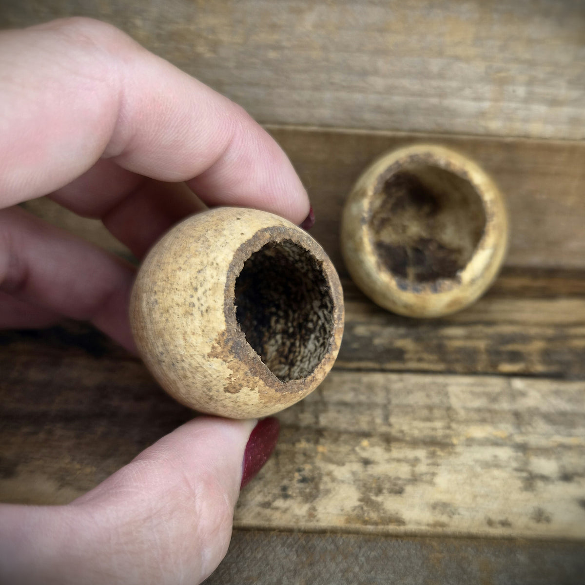 Wood Apple/Holzapfel