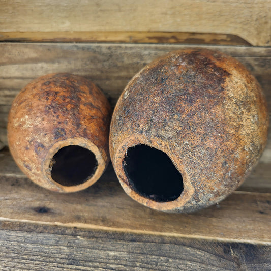 Wood Apple/Holzapfel