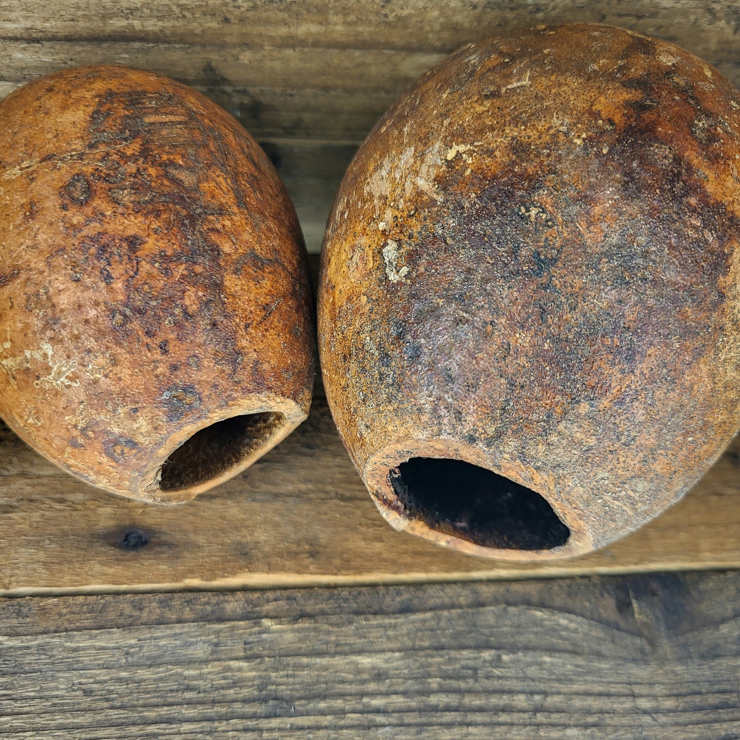 Wood Apple/Holzapfel