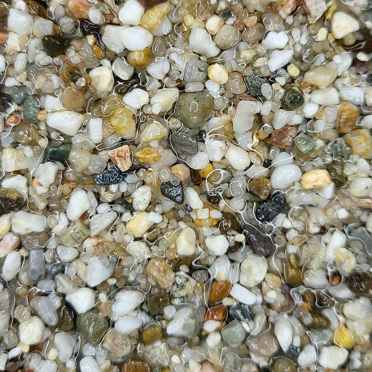Cosmopolitan Gravel