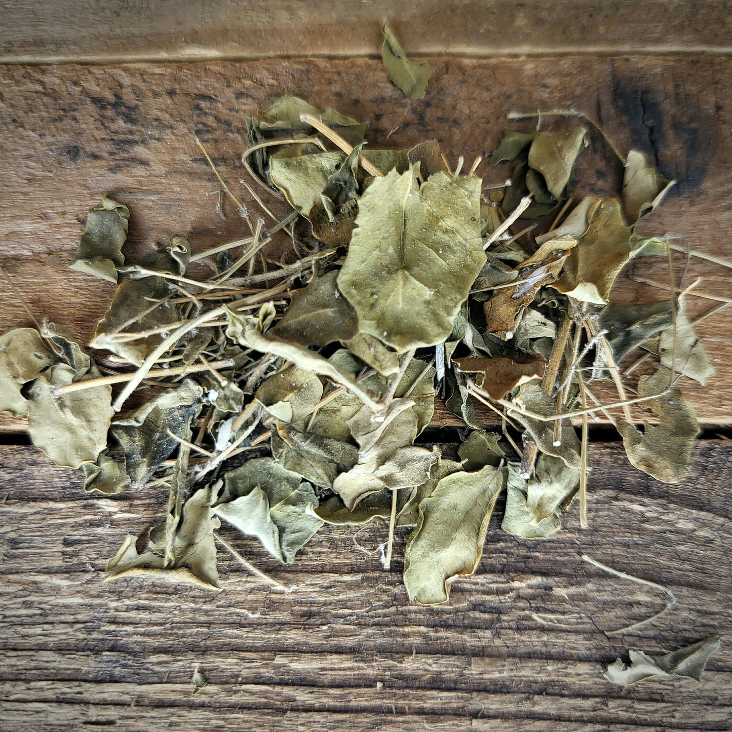Moringa Oleifera leaves