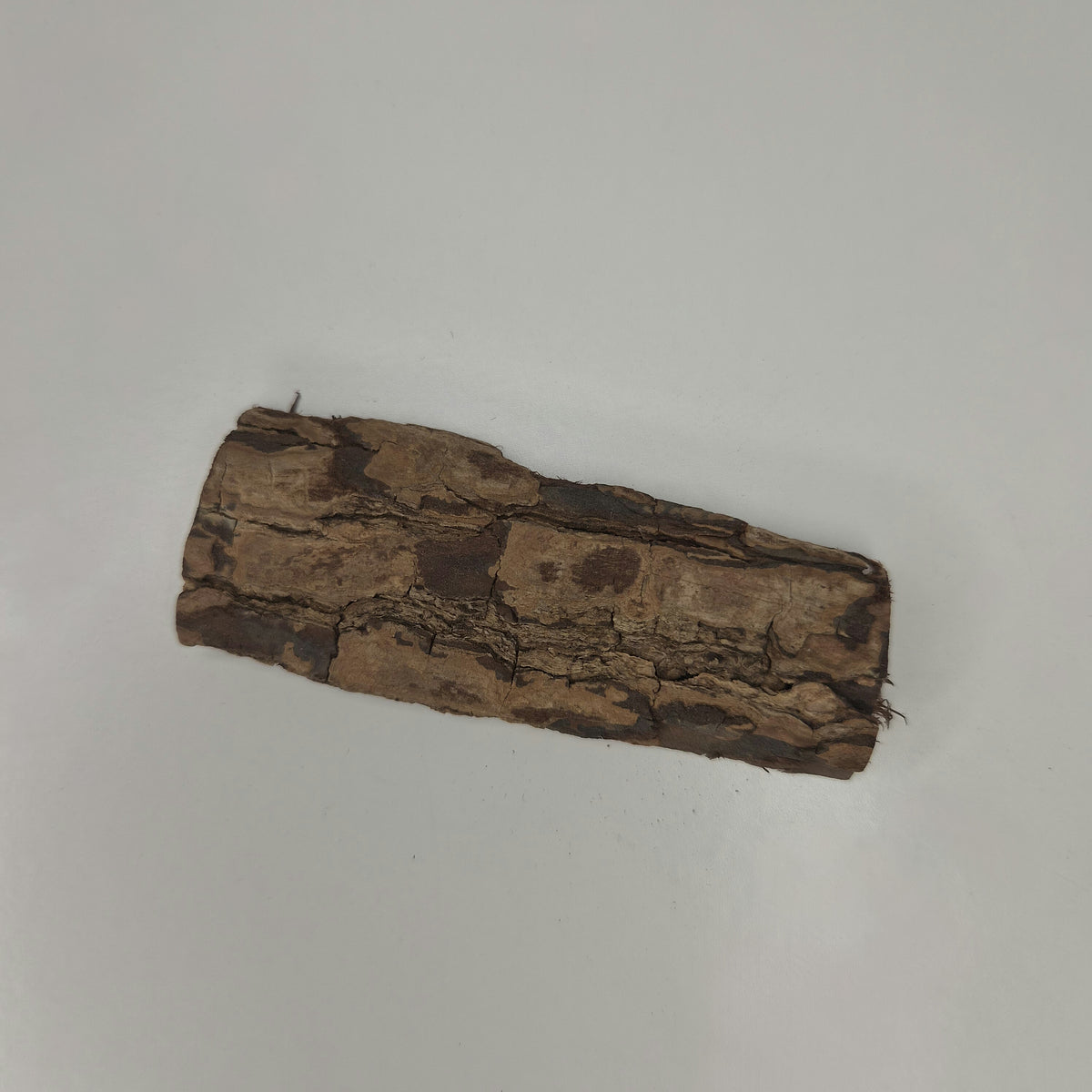 Seemandelbaumrinde