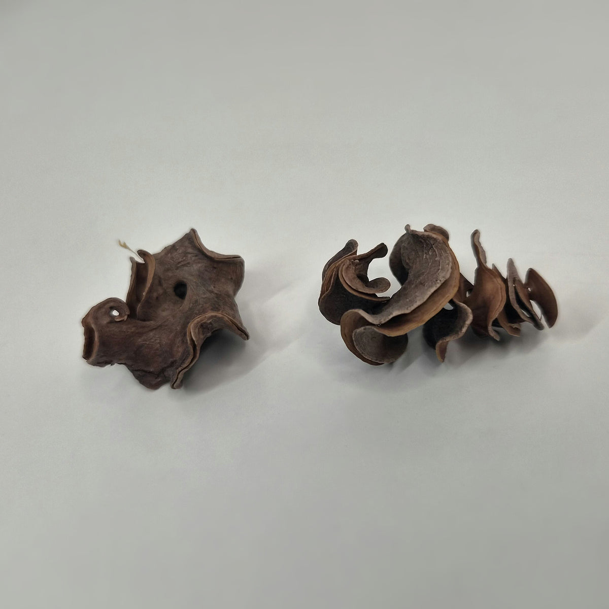 Curly Pods