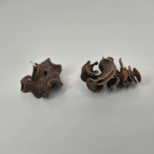 Curly Pods