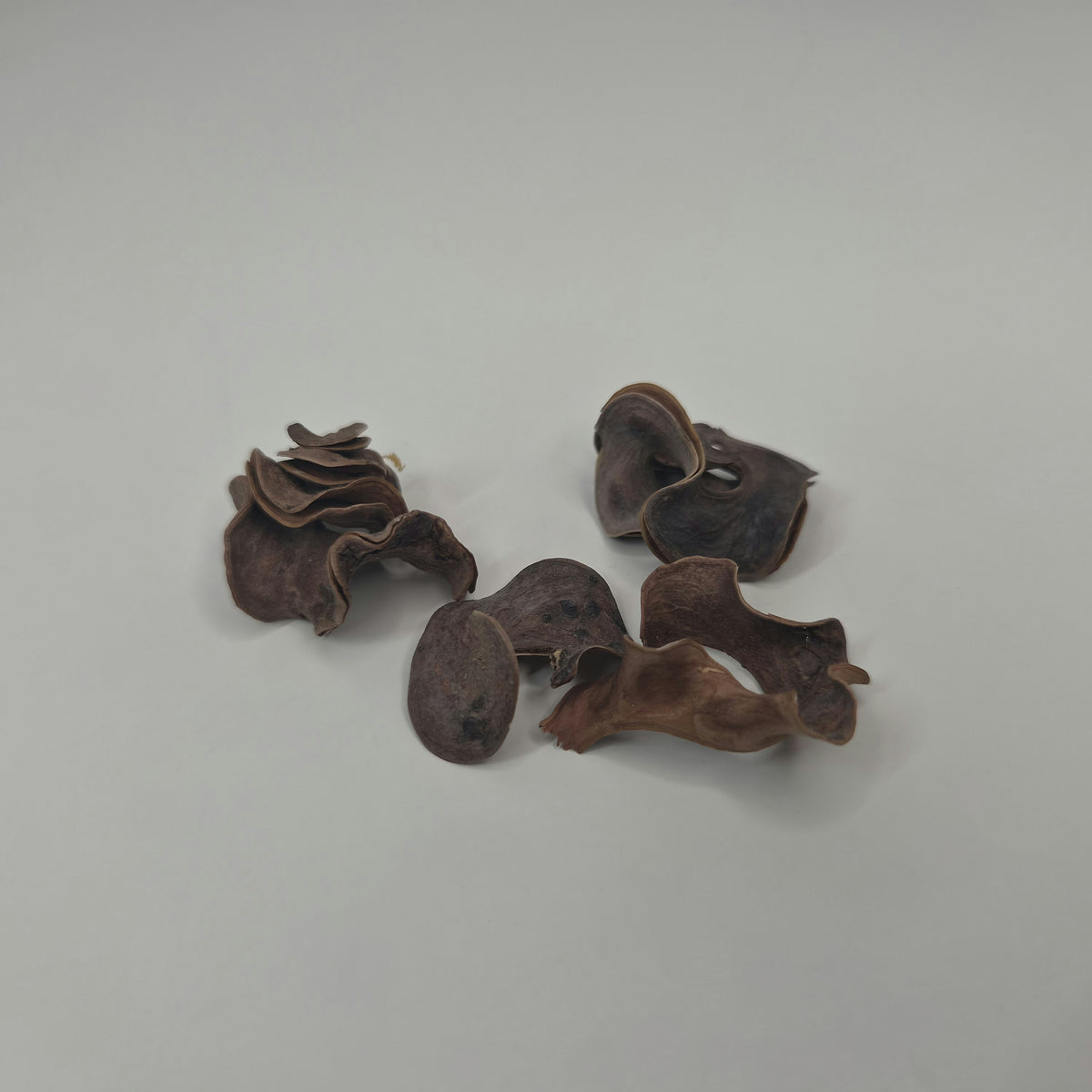 Curly Pods