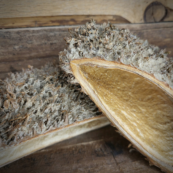 Humin-Natural unter Witten,