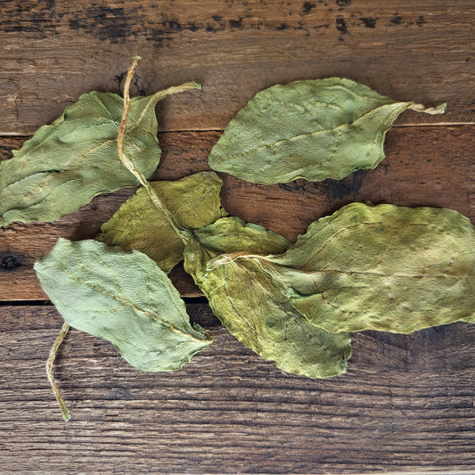 spinach leaves