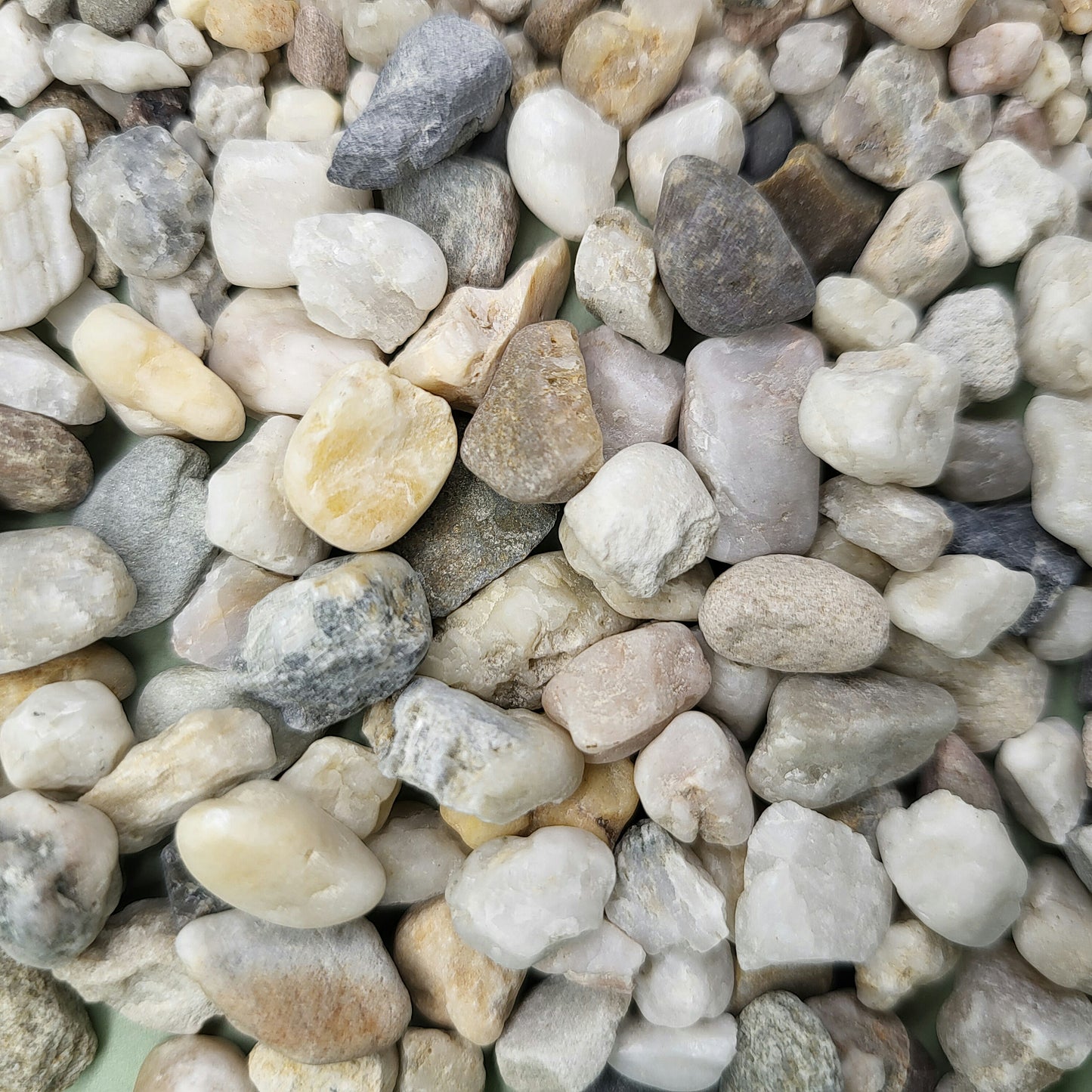 Cosmopolitan Gravel